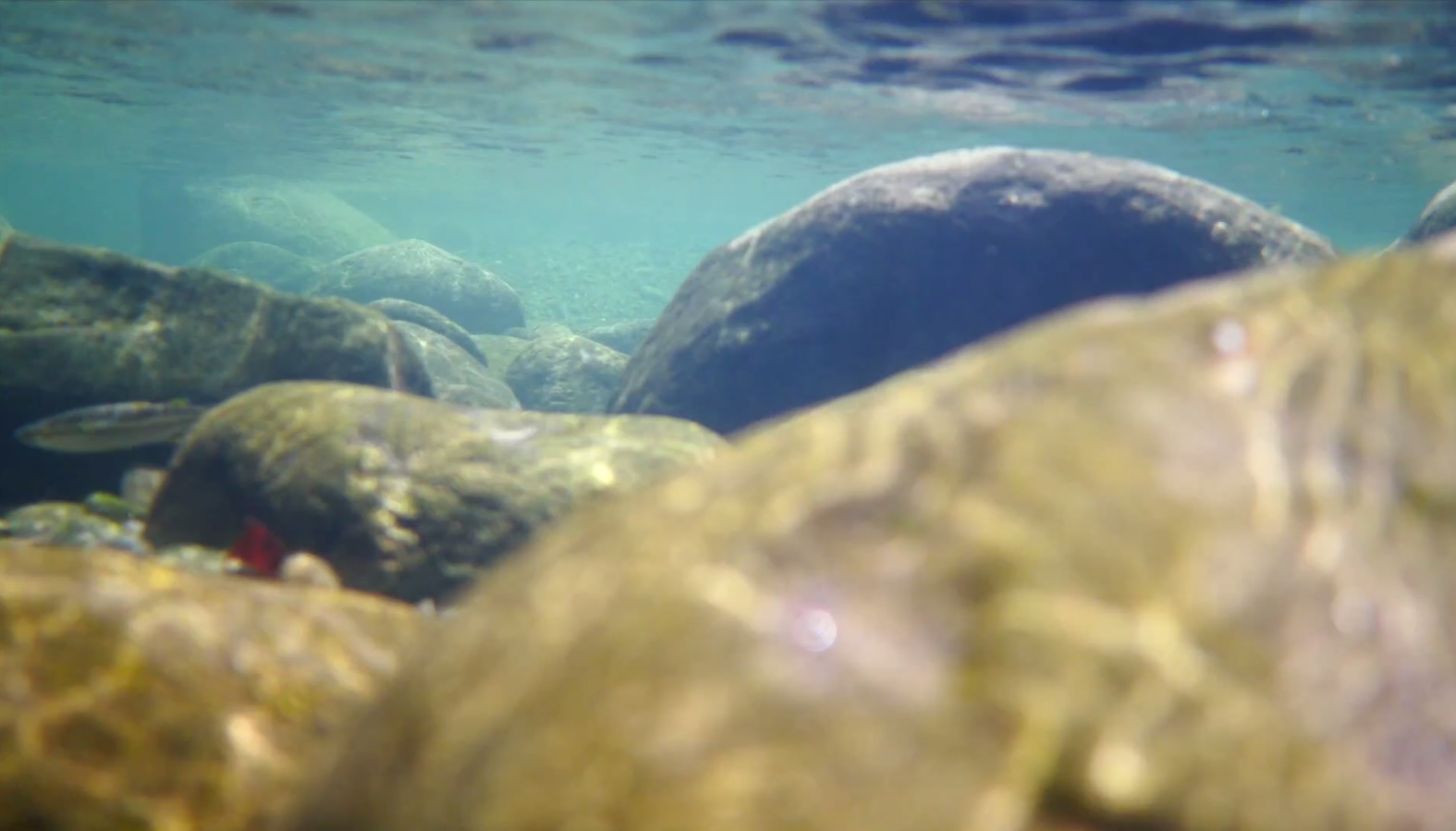 Pêche et tradition en Guadeloupe
