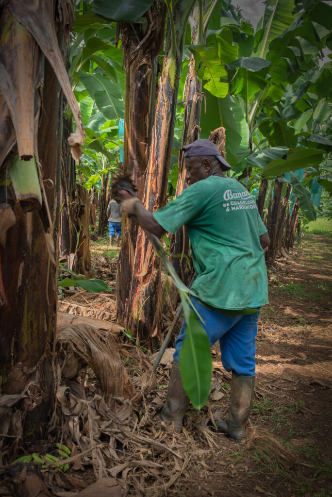 (Crédit photo Pierre Coeffic)